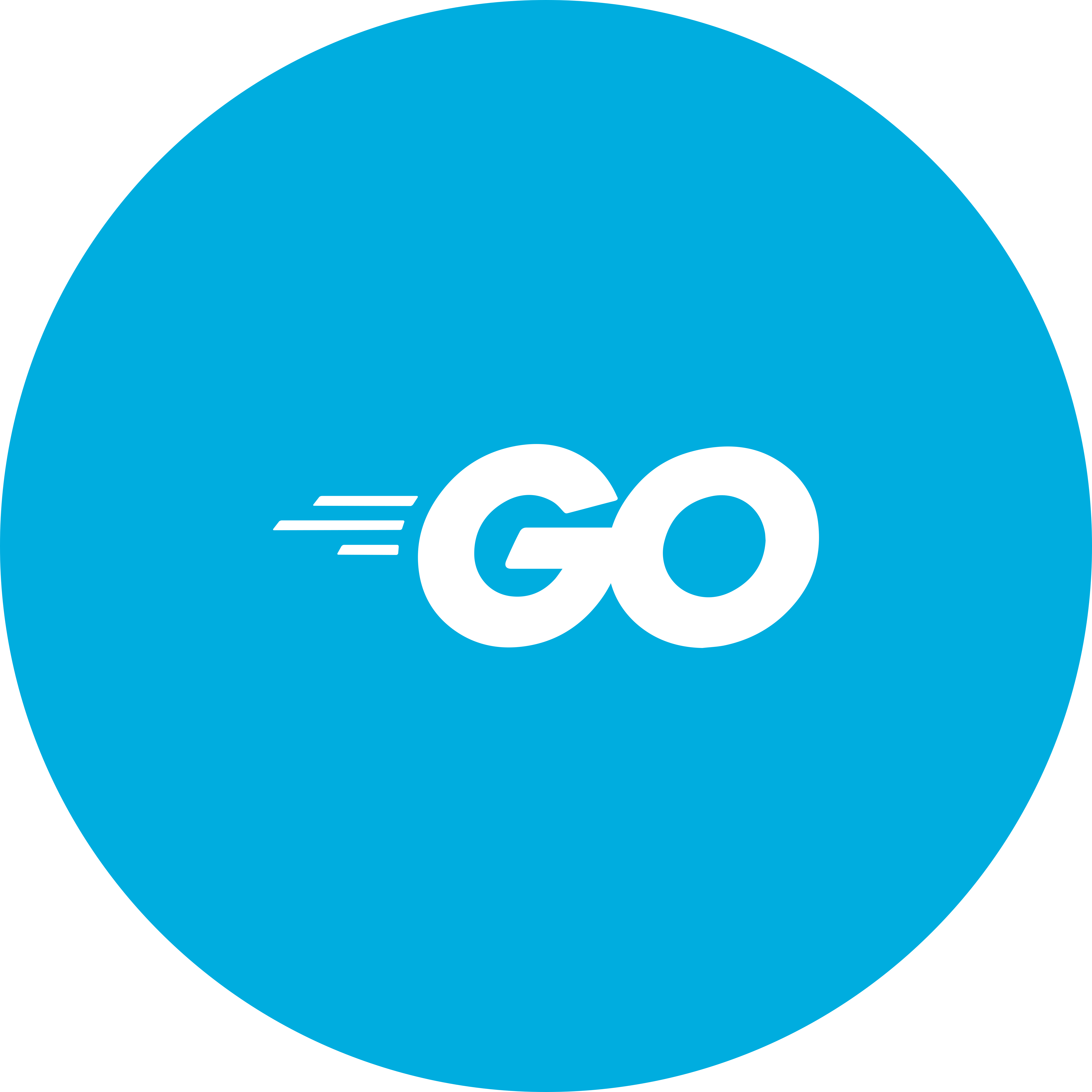 Golang